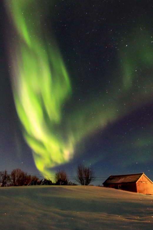 From Svolvaer: Private Northern Lights Search Trip - Private minivan + your own guide: the real value of this setup
