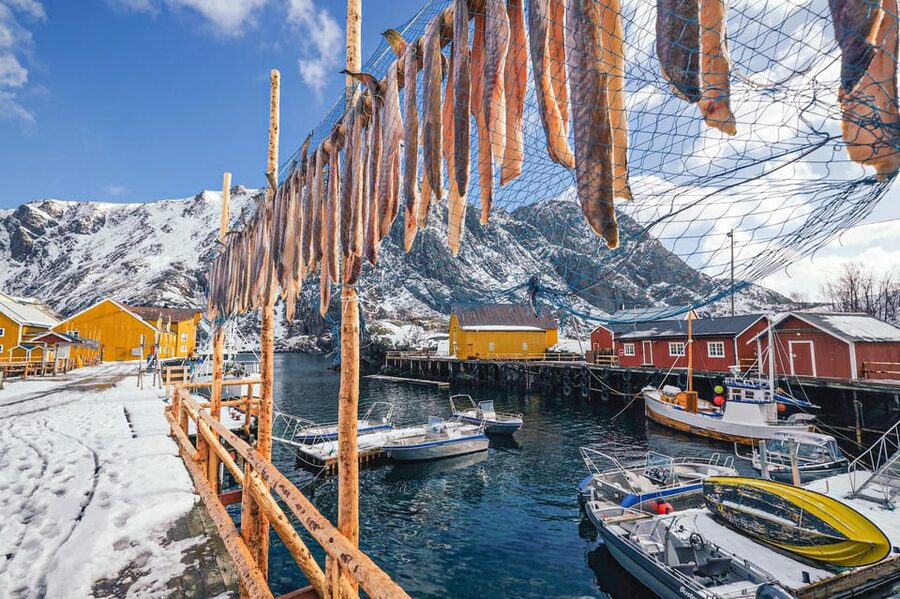 From Svolvær: Reine & Å Lofoten West Island Full Day Tour - Local Crafts: Glass and Ceramics Between Nature Stops