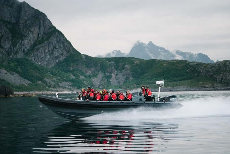 From Svolvær: RIB Boat Lofoten Trollfjord Sea Eagle Safari - Why This Sea Eagle Safari From Svolvær Feels Like Lofoten From the Water