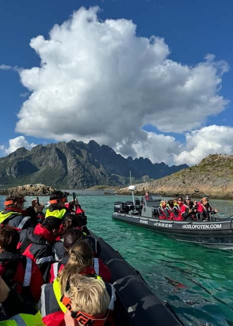 From Svolvær: RIB Boat Lofoten Trollfjord Sea Eagle Safari - Price and Value: Is $125 Worth It for a 2-Hour RIB Safari?