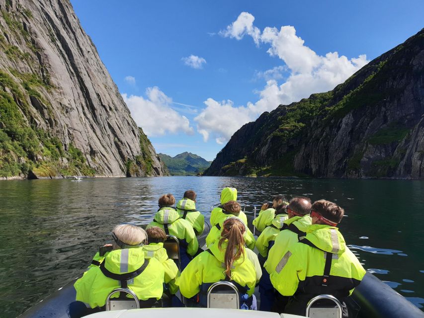 From Svolvaer: Trollfjorden Wildlife RIB Cruise - Key highlights you should know