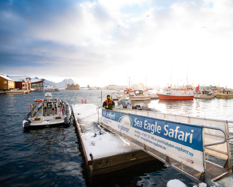 From Svolvaer: Trollfjorden Wildlife RIB Cruise - Weather reality: rain or shine, and what that means for your expectations