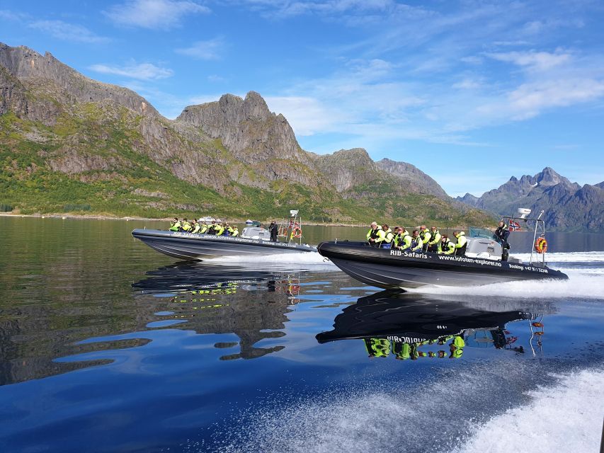 From Svolvaer: Trollfjorden Wildlife RIB Cruise - Meeting point and what to do before you board