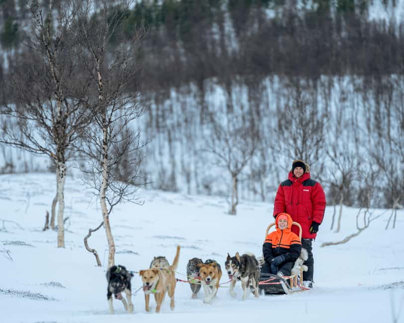 From Tromsø: Advanced Dog Sledding Daytime & Snow Park Visit - Key things that make this Tromsø husky day special