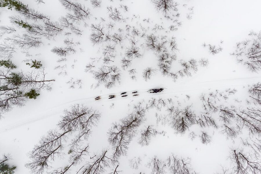 From Tromsø: Advanced Dog Sledding Tour at Camp Tamok - The advanced trail: uphill pushing, narrow runners, and controlling speed