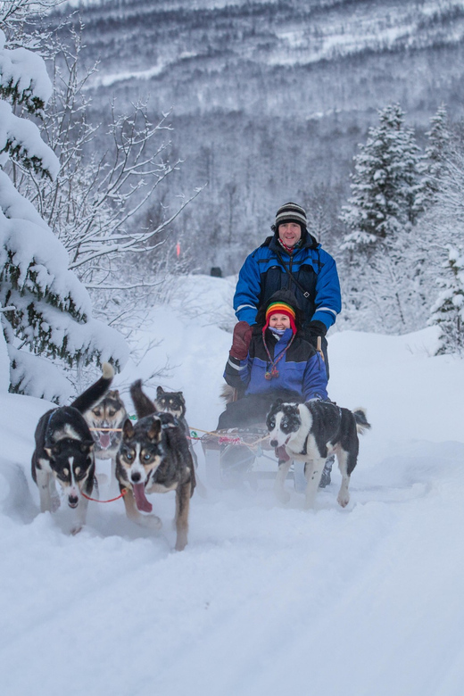 From Tromsø: Advanced Dog Sledding Tour at Camp Tamok - Warming up in a Sámi lávvu: stew by the fire and real recovery