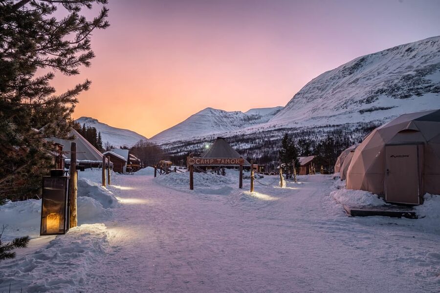 From Tromsø: Advanced Dog Sledding Tour at Camp Tamok - Who this advanced dog sledding tour suits best
