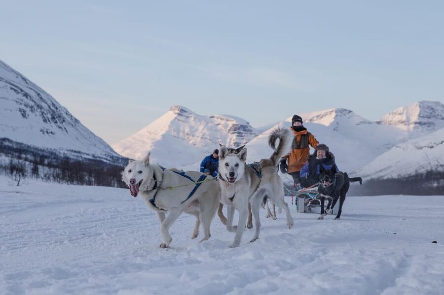 From Tromsø: Advanced Dog Sledding Tour at Camp Tamok - Gear and clothing: what’s included and what you should still bring