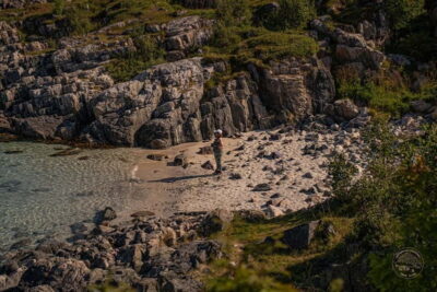 Arctic Roadtrip: fjords tour with scenic picnic