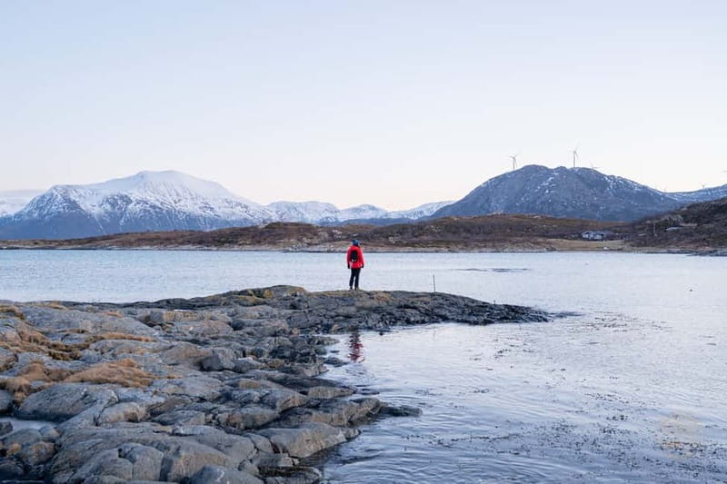 From Tromsø: Arctic Roadtrip: fjords tour with scenic picnic - When you hit the sunrise angles at Kvaløysletta