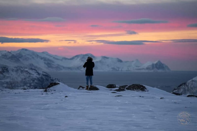 From Tromsø: Arctic Roadtrip: fjords tour with scenic picnic - Erstfjordbotn and fjord turns: the wow factor happens between stops