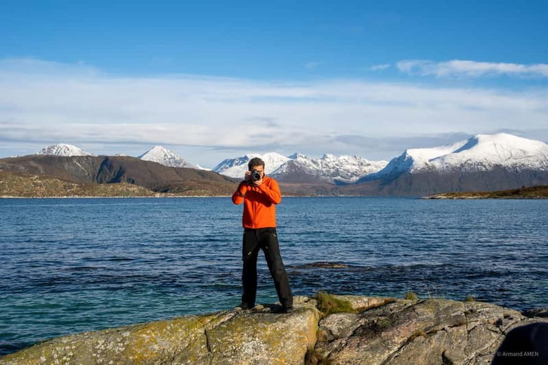 From Tromsø: Arctic Roadtrip: fjords tour with scenic picnic - Wildlife odds: what you can hope for, and what to keep realistic