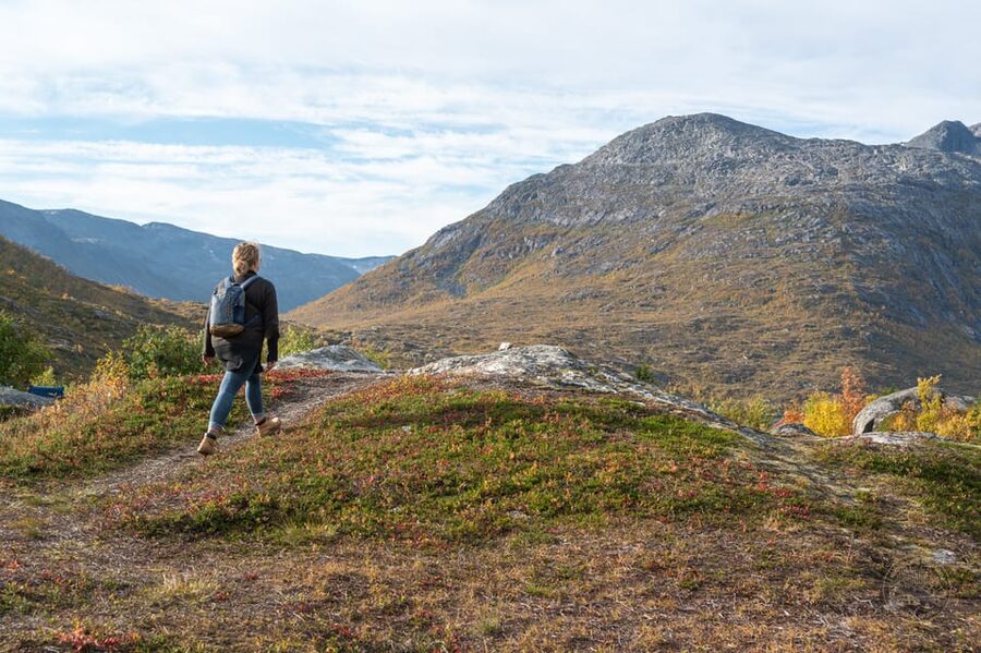 From Tromsø: Arctic Roadtrip Small Group 4x4 Van - Key things to know before you go
