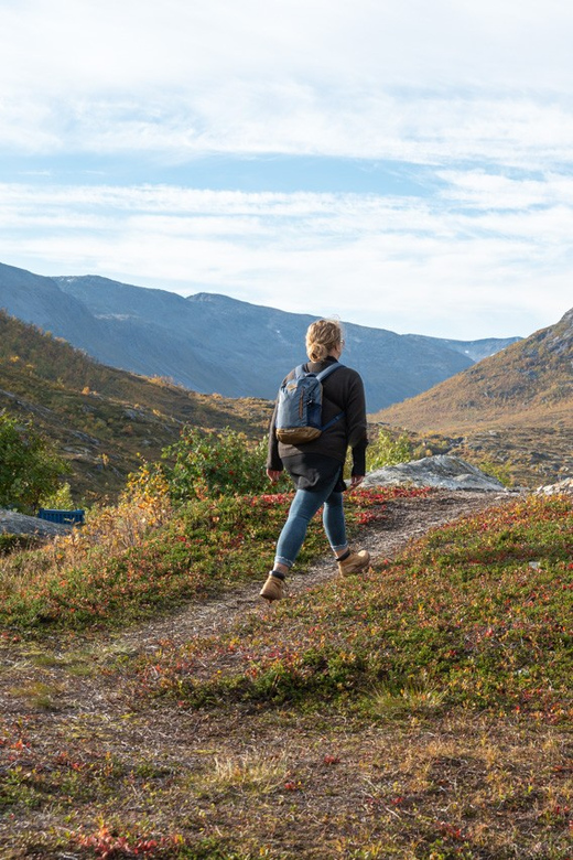 From Tromsø: Arctic Roadtrip Small Group 4x4 Van - Fjords, mountain valleys, and fishing villages: why the route matters