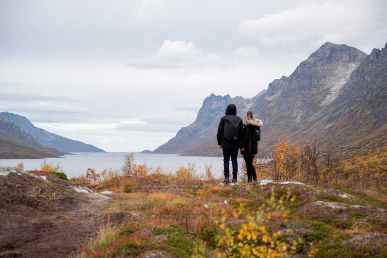 From Tromsø: Arctic Roadtrip Small Group 4x4 Van - What to bring and how to stay comfortable in 4.5-5.5 hours