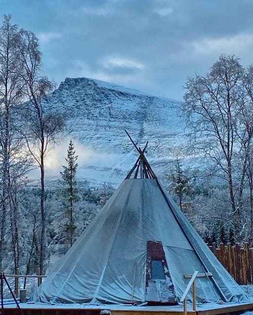 From Tromso: Arctic Wilderness Snowmobile Daytime Tour - Key highlights worth your attention