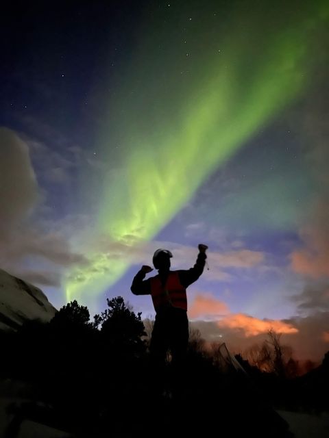 From Tromso: Arctic Wilderness Snowmobile Evening Tour - Key highlights to know before you go