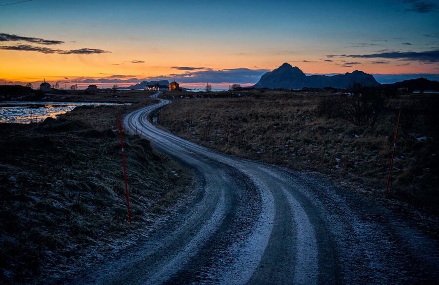 From Tromsø: Arctic Wildlife & Fjord Sightseeing Tour by Car - Key things that make this tour special