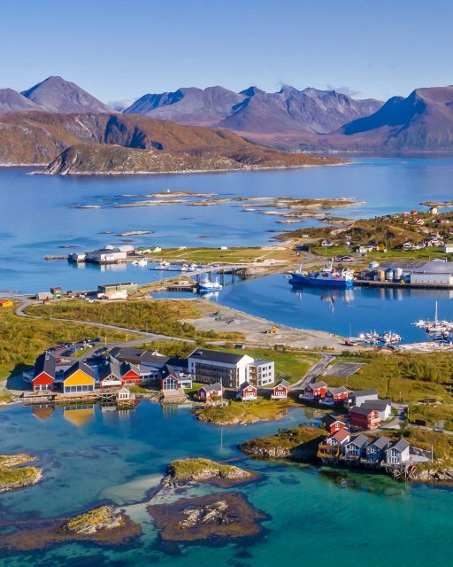 From Tromsø: Arctic Wildlife & Fjord Sightseeing Tour by Car - Local guides and the Sami and Arctic-life stories you remember