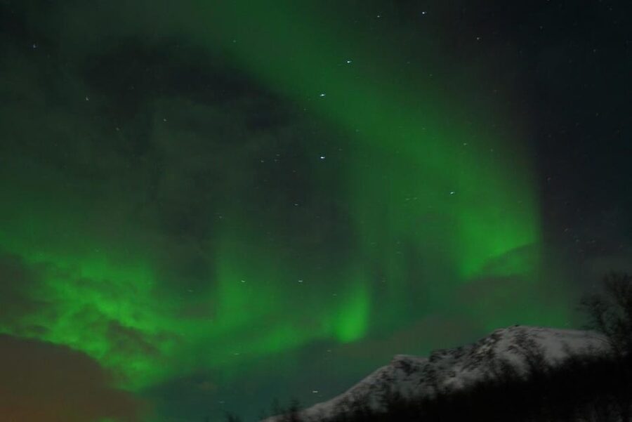 From Tromsø: Aurora Bus Tour with Snacks, Photos, and Drinks - When the lights appear, you get unlimited pro photos