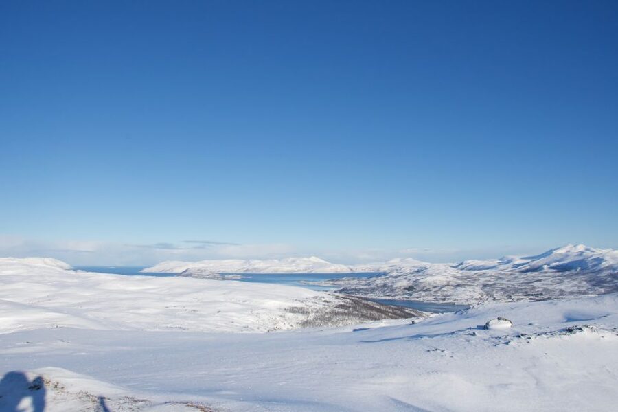 From Tromsø: Daytime Snowshoe Experience with stunning views - Key Highlights You’ll Actually Feel