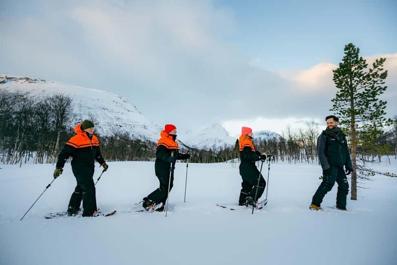 From Tromsø: Daytime Snowshoeing and Snow Park Visit - Key highlights to know before you go