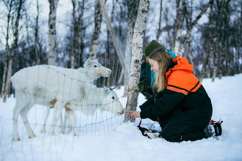 From Tromsø: Daytime Snowshoeing and Snow Park Visit - Who should book this tour, and who should skip it