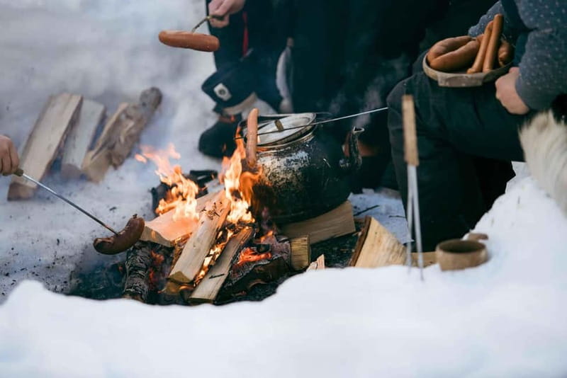 From Tromsø: Daytime Snowshoeing and Snow Park Visit - Snowshoeing at Camp Tamok: easy start, medium effort