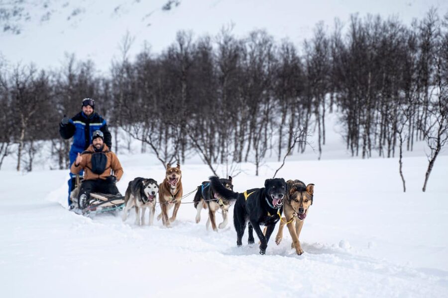 From Tromsø: Dog Sledding Adventure in Tamokdalen - From Tromsø to Tamokdalen: the bus ride that sets the tone