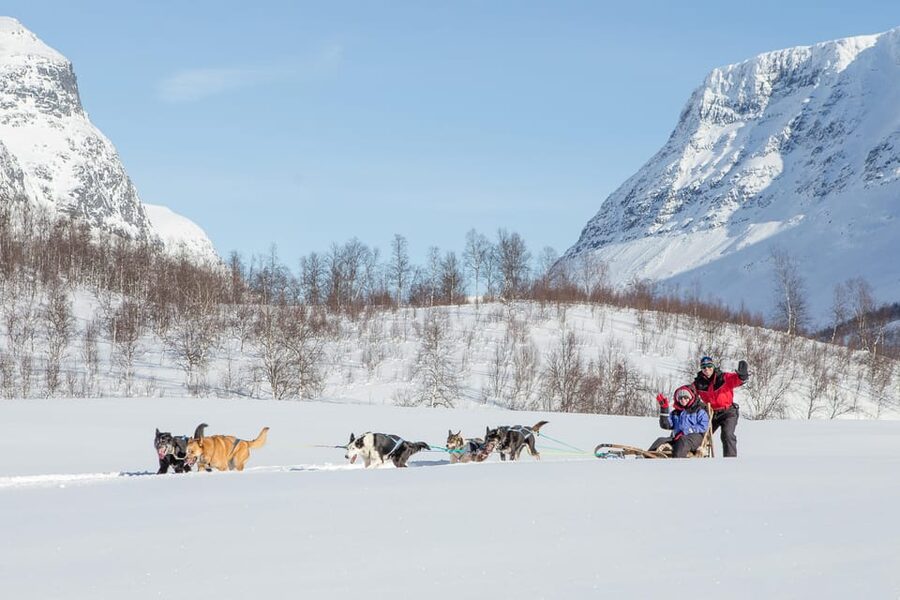 From Tromsø: Dog Sledding Adventure in Tamokdalen - The lávvu break: hot drinks, fish soup, and dog yard time