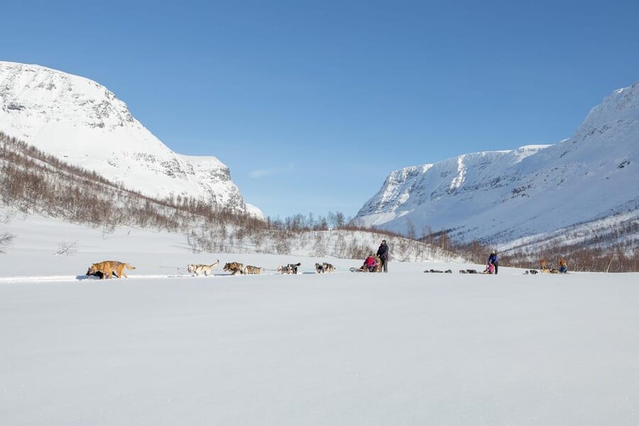 From Tromsø: Dog Sledding Adventure in Tamokdalen - Who should book this Tamokdalen dog sled ride (and who should skip it)