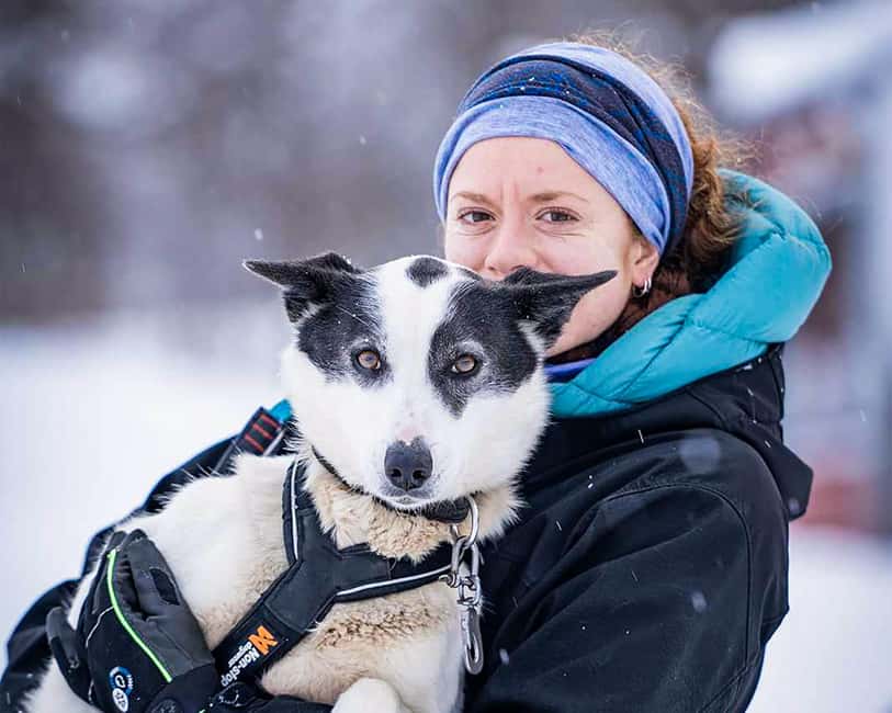 From Tromsø: Dog Sledding Experience with Transfer - Who Should Book This Husky Sledding Day Trip