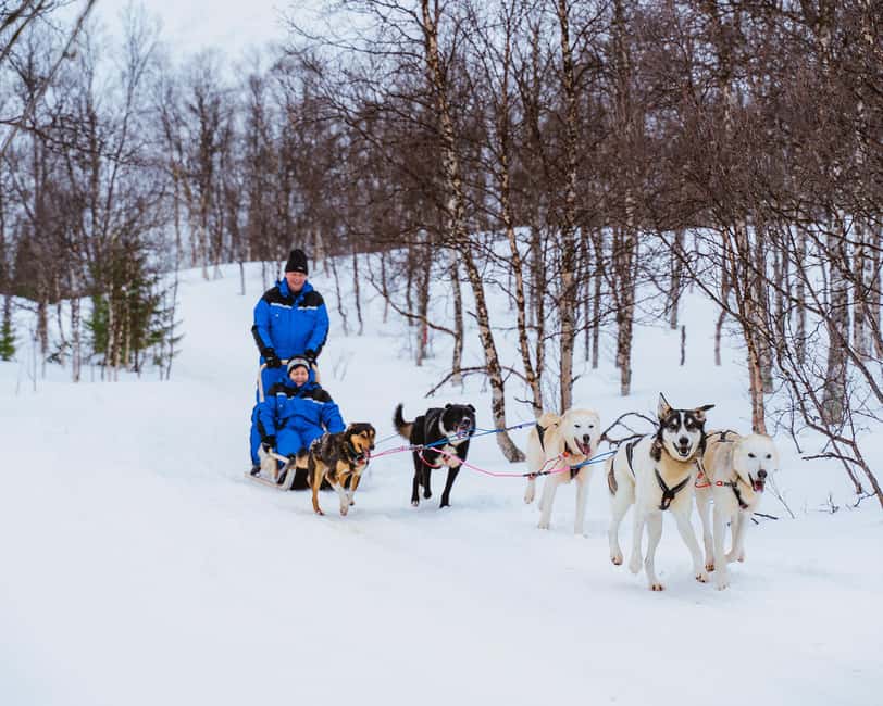 From Tromsø: Dog Sledding Experience with Transfer - Arctic Gear and Boots: What You Actually Need