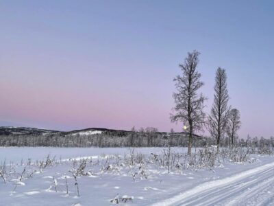 Eco Luxury Snowmobile Adventure to Lyngen Alps