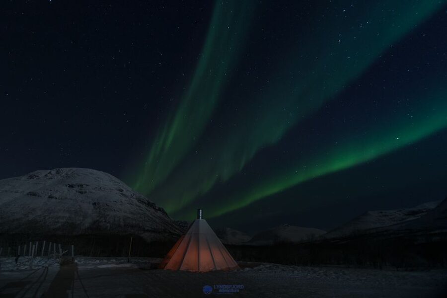 From Tromsø: Evening Reindeer Sledding at Camp Tamok - Reindeer sledding: gentle, short, and very different from a thrill ride