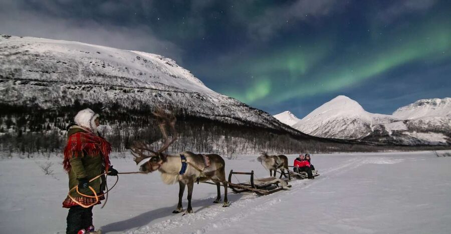 From Tromsø: Evening Reindeer Sledding at Camp Tamok - Tromsø to the wilderness camp: long bus time, calm reset