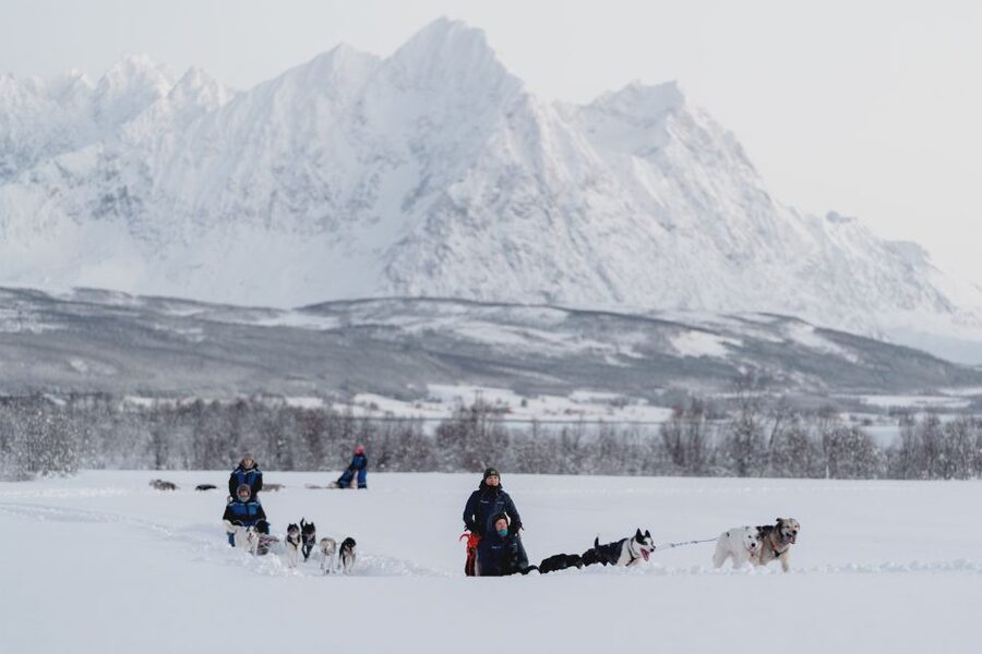From Tromsø: Fun and Easy Dog Sledding Adventure - How Cold Actually Works Here, and What to Wear