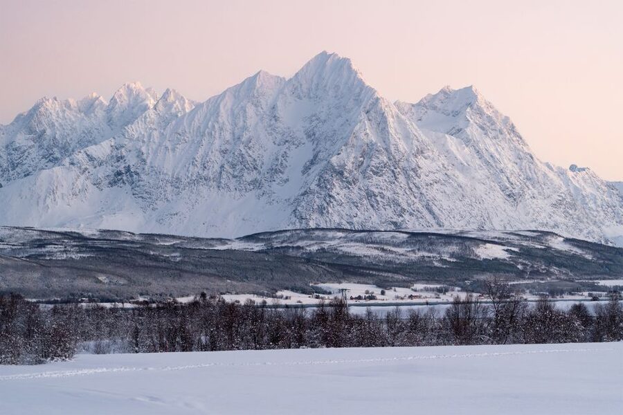 From Tromsø: Fun and Easy Dog Sledding Adventure - Price and Timing: Is $282 Good Value?
