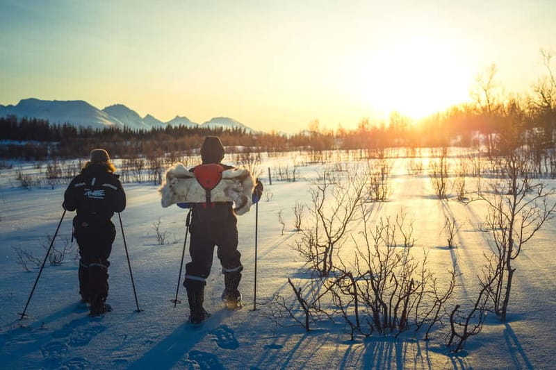 From Tromsø: Guided Husky Snowshoe Hike and Husky Camp Visit - The Snowshoe Hike Where the Husky Pull Becomes Part of the Fun