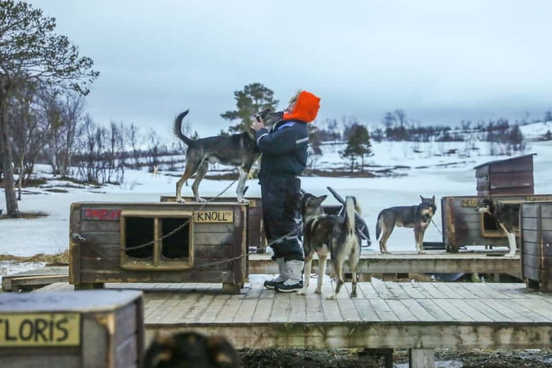 From Tromsø: Guided Husky Snowshoe Hike and Husky Camp Visit - Mid-Hike Breaks: Hot Juice, Cookies, and a Breather with Views