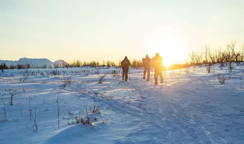 From Tromsø: Guided Husky Snowshoe Hike and Husky Camp Visit - Husky Camp Visit: Meet the Pack, Then Meet the Puppies
