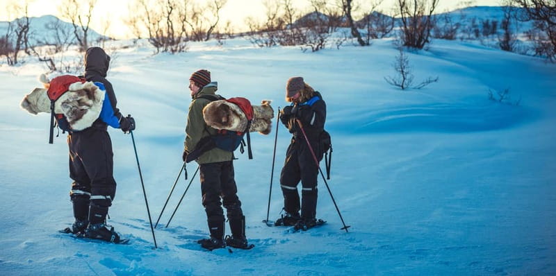 From Tromsø: Guided Husky Snowshoe Hike and Husky Camp Visit - Cake by Fire, in a Lavvu-Style Warm-Up