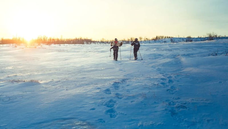 From Tromsø: Guided Husky Snowshoe Hike and Husky Camp Visit - Value for $187: What You’re Really Paying For