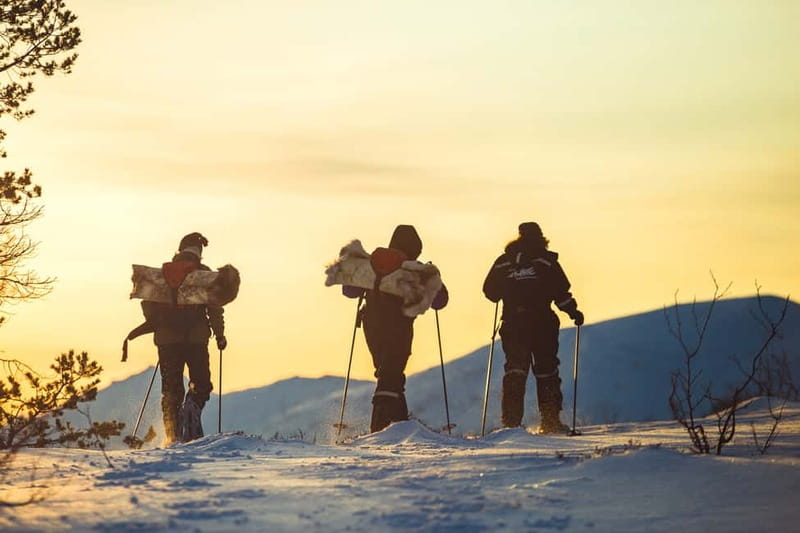From Tromsø: Guided Husky Snowshoe Hike and Husky Camp Visit - Who Should Book, and Who Might Want a Different Day