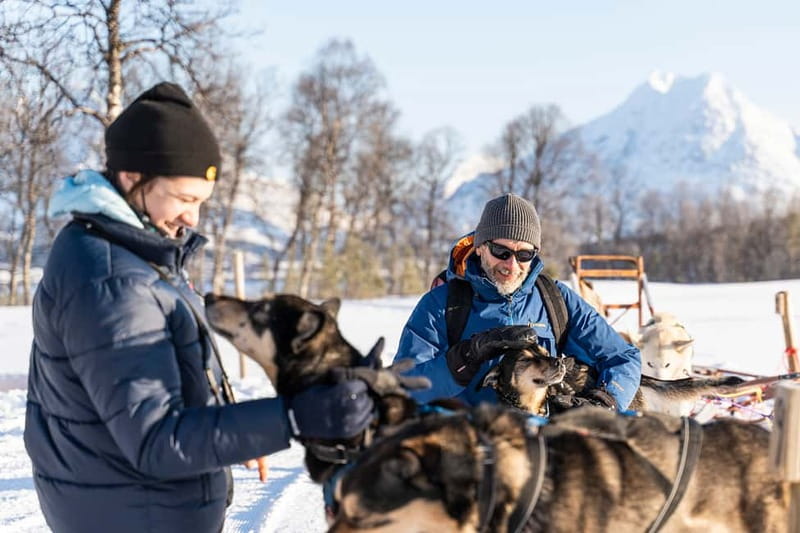 From Tromsø: Husky Experience with Self-Drive Dog Sled Ride - Safety Basics and Steering 101, Before You Touch the Reins