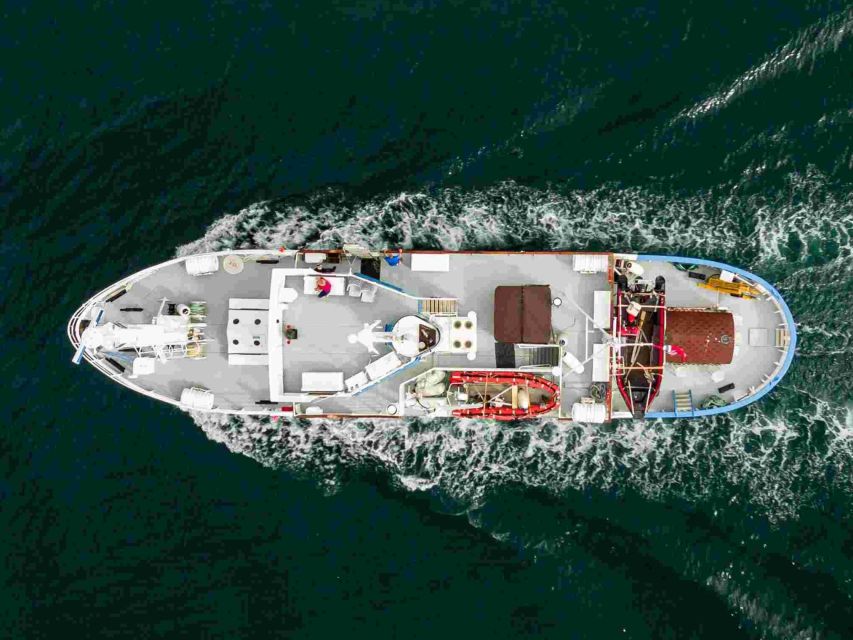 From Tromsø: Northern Lights Cruise on a Cozy Vintage Vessel - Full Steam Museum Start: The 19:00 Aurora Briefing That Sets You Up