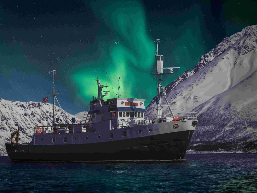 From Tromsø: Northern Lights Cruise on a Cozy Vintage Vessel - How the Cruise Actually Watches for the Aurora Over the Fjord