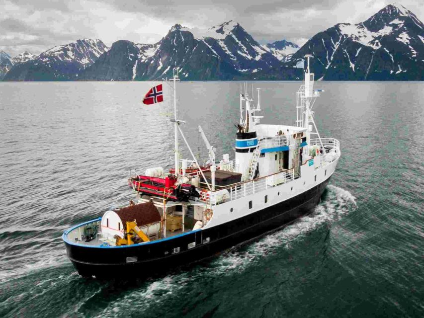 From Tromsø: Northern Lights Cruise on a Cozy Vintage Vessel - Boarding the Vintage Vessel: Warm Inside, Watchful Outside