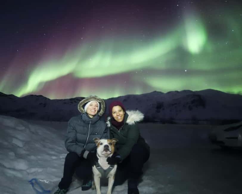 From Tromso: Northern Lights Photography Tour - Viewpoints and camp time: the comfy wait between bursts