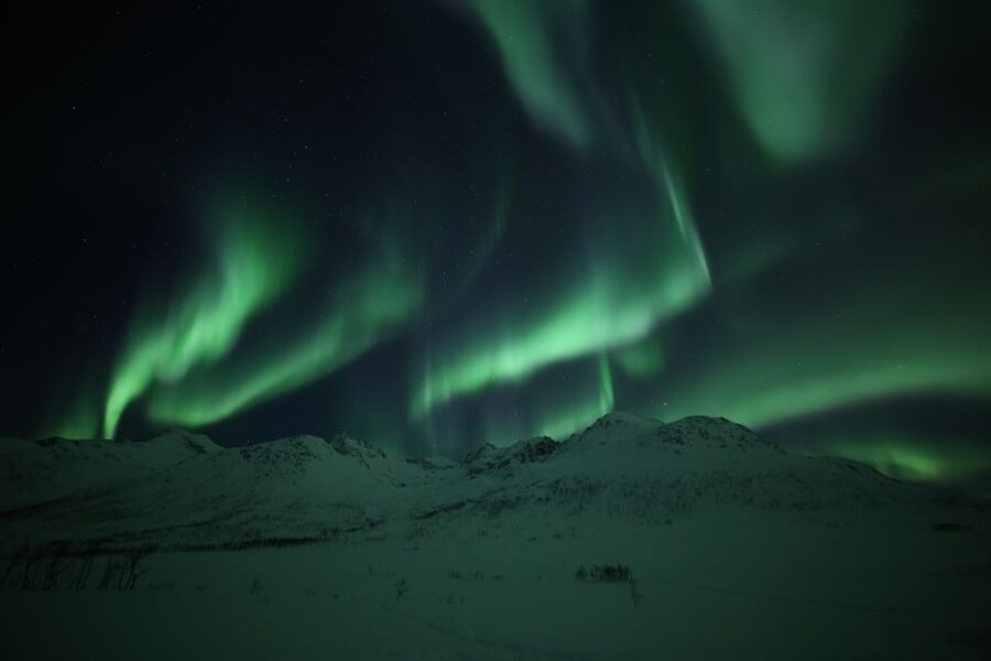 From Tromso: Northern Lights Photography Tour - When the group needs the guide’s experience most